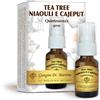 DR.GIORGINI SER-VIS Srl Tea Tree Niaouli E Cajeput Quintessenza Spray Dr. Giorgini 15ml