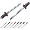Marcopol Confezione da 100 rivetti ciechi verniciati, 4 x 8 mm, testa a cupola, DIN 7337, rivetti in alluminio e mandrino in acciaio, rivetti pop (100, marrone cioccolato RAL 8017)