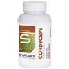 Syform Cordyceps 100 capsule Syform