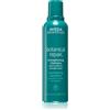 Aveda Botanical Repair™ Strengthening Shampoo 200 ml