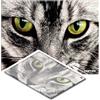 Dastick Tappetino Decontaminante - Cat | Dastick