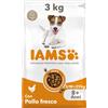 IAMS Cibo secco per cani anziani piccola/media con pollo, 3 kg
