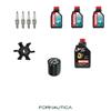 KIT TAGLIANDO PER MOTORE FUORIBORDO YAMAHA F40G - FILTRO GIRANTE CANDELE OLIO