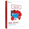 MICROSOFT SQL SERVER STANDARD 2016 - 10 USER CAL