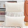 Madizz 2 Pezzi Federe in Velluto Copricuscini Morbido Decorativo Fodere per Cuscino Lusso Stile per Divano Camera da Letto Bianco Rettangolare 30x50 cm