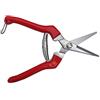 TABOR TOOLS K77E Forbice Cogliuva, Forbici per la Vendemmia, Cesoie da Potatura per Giardinaggio, Forbice Lama Dritta in Accciaio al Carbonio, Forbici da Raccolta per Fiori, Ortaggi, Piante e UVA.