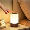 Görvitor Lampada da Comodino Senza Fili, Touch Luce Notturna Bambini Led, Batteria Lampada Led Ricaricabile con 8 RGB Colori 3 Modi d'Illuminazion per Tavolo Camera Scrivania