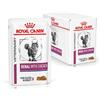 Royal Canin Veterinary Diet Renal con Pollo - Royal Canin - Veterinary Diet Renal con Pollo - 12X85GR