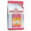 Royal Canin FELINE HEALTH NUTRITION SECOND AGE KITTEN 2 KG