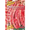 Magnani Fagiolo rampicante Borlotto lingua di fuoco 2 100 g