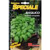 Magnani Basilico italiano compatto