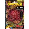 Magnani Cicoria orchidea rossa