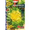 Magnani Indivia riccia cuor d'oro