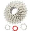 CYSKY Cassetta 9 velocità 11-36T Adatta per Mountain Bike, Bicicletta da Strada, MTB, BMX (Peso Leggero) (11-36T)