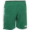 Derbystar Hyper - Pantaloni Unisex per Bambini, Unisex - Bambini, Pantaloni da Bambino., 6061116410, Verde/Bianco, 116