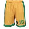BIGSPORTS Replica Eurocup Limoges pbpc Casa Pantaloncini da Basket Uomo, Uomo, Replica Eurocup Limoges Csp Domicile, Giallo/Verde, XXS