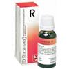 DR.RECKEWEG Dr. Reckeweg R26 Gocce Orali Omeopatiche 22 ml
