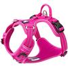 Truelove TRUE LOVE Pettorina per cani No Pull Regolabile Riflettente Step-in Morbido Nylon Per Piccolo Grande Animale Domestico TLH56512 (XS, Fucsia)