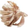 Kare Design Figura Decorativa Betta Pesce Gold, Oro, 58cm, Decorazione Casa, Lussuoso, per Libreria, Credenza, Scaffale, Corridoio, Bagno, Idea Regalo