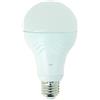 EDISHINE Lampadine dimmerabili, E27 LED 14W(Equivalenti a 100W), Lampadine  A60 Edison 1521 Lumen, Luce Bianca Calda 2700K, ERP, Certificazione CE,  Pacco da 6 : : Illuminazione