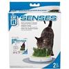 Catit Design Senses Erba del Giardino Ricarica da 2 Pacchetti
