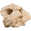 Sera Rock Hole Stone (Prezzo per Pietra) Diverse Misure - Pietra Forata - Decorazione Rocce Malawi Tanganjika See - Naturale Decorazione per Acquario