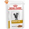 Royal Canin Cat Veterinary Diet Urinary S/O in Salsa - Confezione da 85 Gr