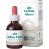 FORZA VITALE ITALIA Les Cedrus Libani Gocce 50ml