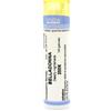 CEMON SRL BELLADONNA 200K GR