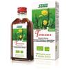 SALUS HAUS GMBH & CO KG TARASSACO SUCCO 200ML BIO