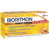 DOMPE' FARMACEUTICI SPA BIORITMON ENERGY DEFEND J 10FL