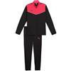 PUMA Individualrise Tracksuit, Tuta Sportiva Uomo, Orchidea del Fuoco, M