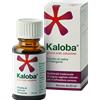 Schwabe Pharma Kaloba Gocce Orali Soluzione Flacone 20 Ml