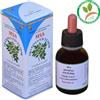 Herboplanet MSA FRAXINUS EXCELSIOR 50 ML