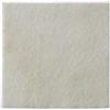 COLOPLAST SPA Medicazione Biatain Alginate In Alginato E Carbossimetilcellulosa 15x15 Cm 10 Pezzi