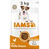 IAMS Cibo secco per cani adulti piccola/media con pollo, 3 kg