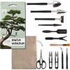 HAPPY SEED Kit Bonsai Attrezzi 13 Pezzi con Pratica Borsa - Mini Utensili da Giardinaggio per Piante da Interno e Una Coltivazione Professionale di Bonsai