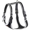 Ferplast Pettorina Cane Taglia Grande ERGOCOMFORT, Pettorina Cane Regolabile, Comoda, Imbottita, Aggancio e Sgancio Rapido, Taglia L, Max 40 Kg. Argento
