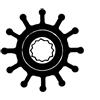 Girante npr d32 di8 h12 bf-6p