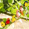 Talking Tables Fiesta Tropical Clip On Birds 6Pk, Metallo, Multicolore, 17x14.5x4 cm