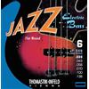 Thomastik-Infeld Flat Wound Basso elettrico - JF34033 - corda singola C - Jazz Bass Long Scale 34, calibro .033