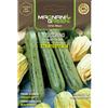 Magnani Zucchino striato d'italia