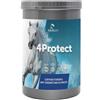 Equality 4 Protect - 900 g