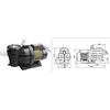 POOL'S Elettropompa centrifuga autoadescante Powertech SMP - 1,00 hp Trifase
