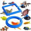 Molain Anello per l'alimentazione dei pesci, 2 pezzi, mangiatoia per pesci d'acquario e tartarughe, accessori per mangiatoia per guppy, Bettas, pesci rossi, tartarughe (blu)