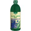 ESI SpA Aloe vera succomirtillo1000m