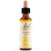 SCHWABE PHARMA ITA Gorse bach orig 20ml