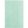 3-D Textured Impressions Embossing Leaf Pattern
