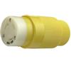 Spina marinco 16a