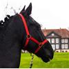 Pferdelinis Cavezza per puledro Mini Shetty Cavezza per cavallo in legno - Cavezza per puledro regolabile in 2 posizioni su mento e collo (rosso, puledro)